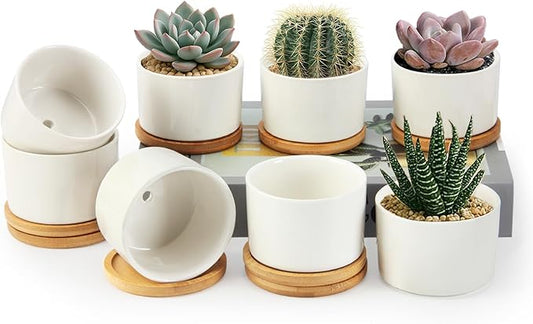 ZOUTOG Ceramic Succulent Pots 8 Pack,4 Inch Plant Pots,Succulent Planters with Drainage Hole & Bamboo Tray for Indoor Plants,White Small Flower Planters for Home,Office,Desk