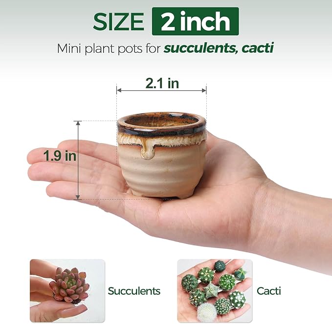 T4U Small Ceramic Succulent Pots with Drainage - Set of 12, Mini Pots for Plants, Home and Office Decor, Plant Lover Gifts for Women