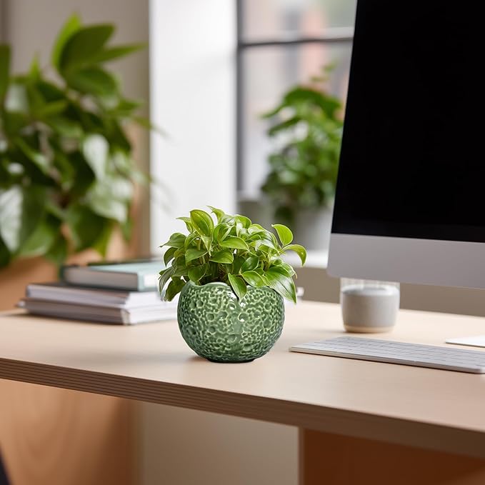 Ceramic Plant Pots - 4 inch Plant Pot with Drainage Hole, Small Pots for Plants Indoor Outdoor, Unique Round Planter, Modern Decorative Flower Pot, Room Decor, House Warming Gifts, Green