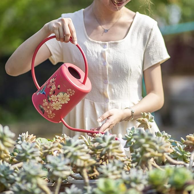 Yowon 1/2 Gallon 68oz Long Spout Stainless Steel Flower and Hummingbird Pattern Watering Can for Indoor Plant Watering or Outdoor Gardening with 2 Removable Spray Spout for Flowers Plant,Red,YW0414RP