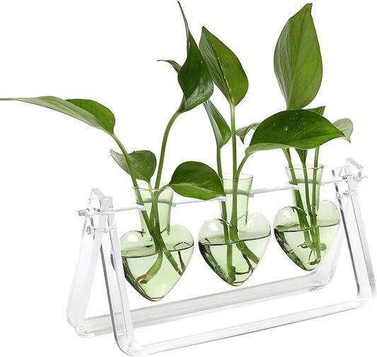 Clear Plant Terrarium Propagation Stations with Acrylic Stand Birthday Gifts for Women Office Home Decor