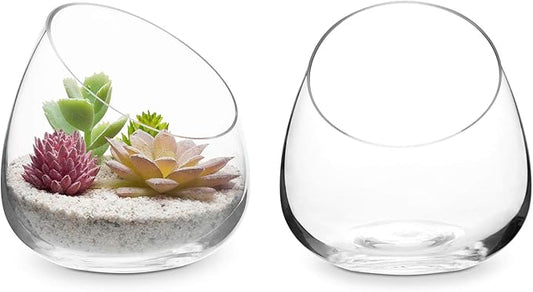MyGift 5 Inch Premium Clear Glass Air Plant Terrarium, Mini Candy Bowl Jar, Tealight Candle Holder, Succulent Cactus Plant Vase, Set of 2