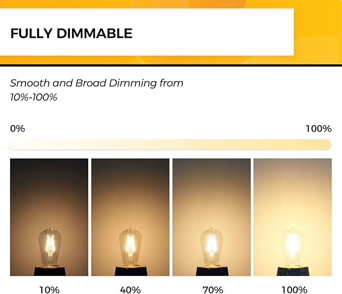 Hizashi Edison Bulbs Dimmable, 40 Watt, ST58/ST19 Vintage Light Bulbs, E26 LED Bulb 2700K Warm White, UL Listed, 4W 450lm 95+CRI E26 Base, Clear Glass, Pack of 24
