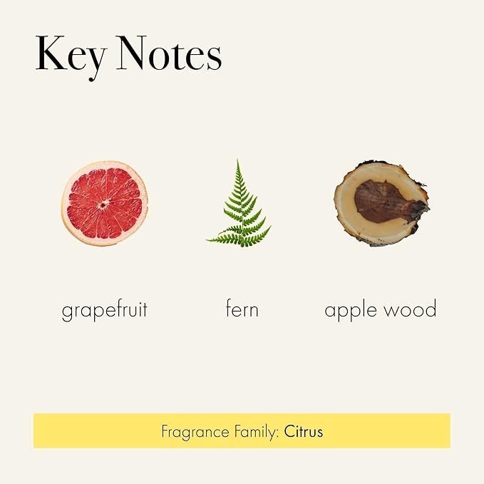 LAFCO New York Signature Reed Diffuser, White Grapefruit - 15 oz - Up to 9 Months Fragrance Life - Reusable, Hand Blown Glass Vessel - Natural Wood Reeds - Made in The USA