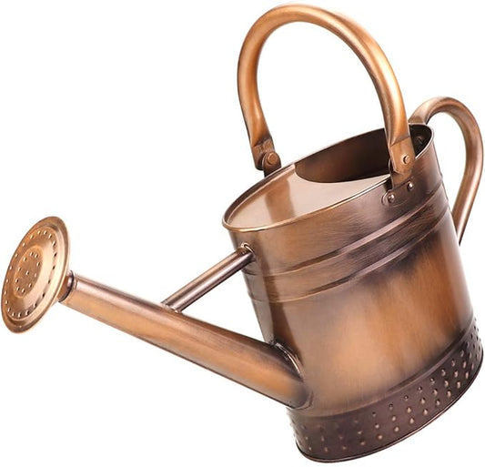 1 Gallon Metal Watering Can with Removable Spout, Nice Galvanized Steel Water Can with Embossed Design for Indoor and Outdoor Plants