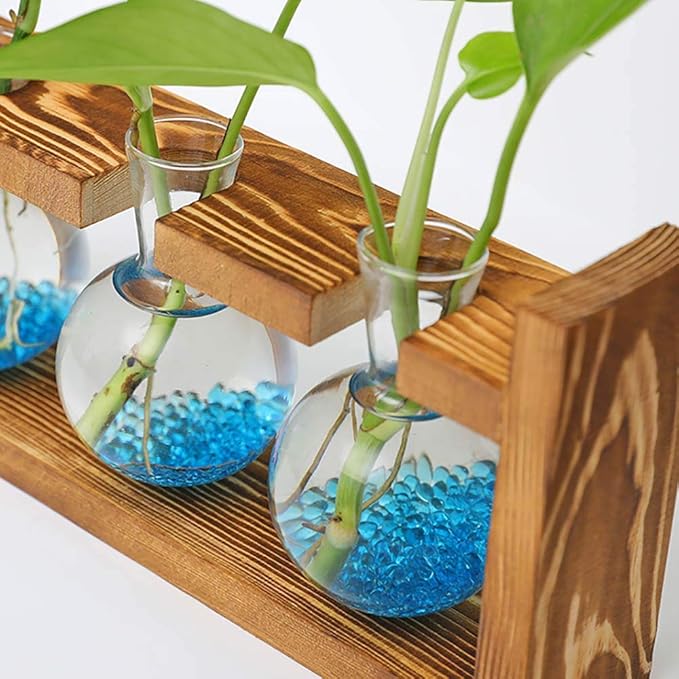 Kingbuy Glass Plant Terrarium - 3 Bulbs Propagation Station with Retro Wood Stand Indoor Garden Planter, Bulb Vase & Desktop Decor for Home Kitchen Wedding, Gift for Women & Plant Lover