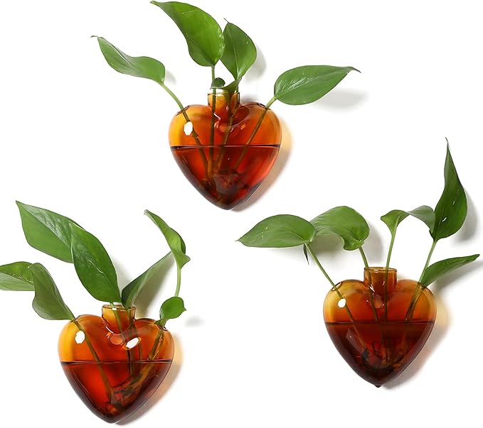 Wall Hanging Planter Propagation Station for Indoor Plants Glass Vase Air Plant Holder for Bathroom Living Room