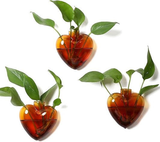 Wall Hanging Planter Propagation Station for Indoor Plants Glass Vase Air Plant Holder for Bathroom Living Room