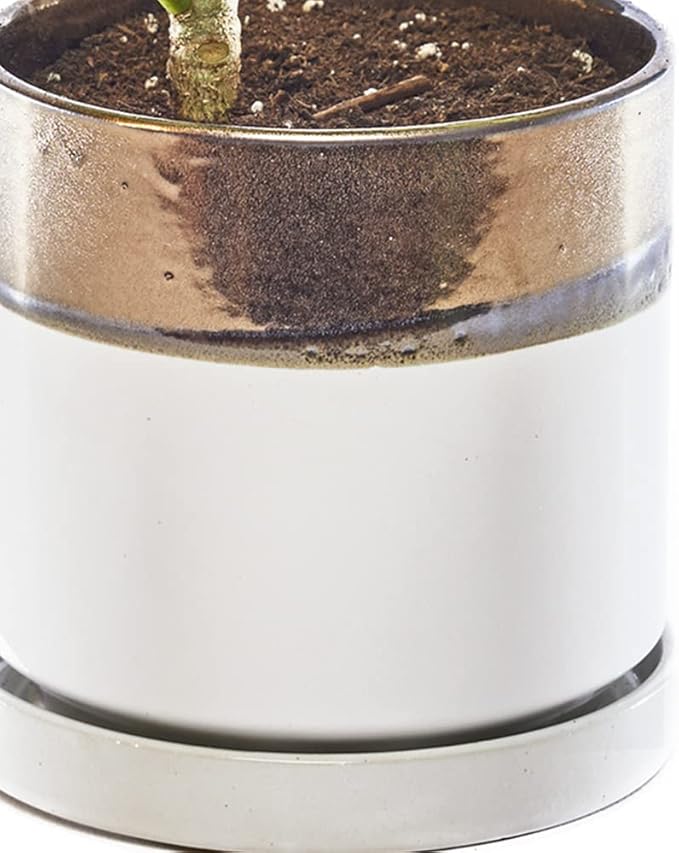 CHIVE ‘Minute’ Ceramic Planter Pot — Cute 5” Colorful Succulent Pots for Indoor & Outdoor House Plants — Beautiful Modern Farmhouse Kitchen Decor — Bronze and White