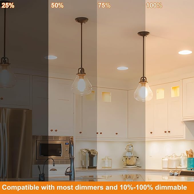 Vinaco A19 Dimmable LED Bulb 2700K Warm White, 4 PCS A19 Edison Bulb, 8W Equal 60W Clear Light Bulbs, Long Lasting 806LM Edison Bulbs E26 LED CRI85+ for Living Room, Chandelier