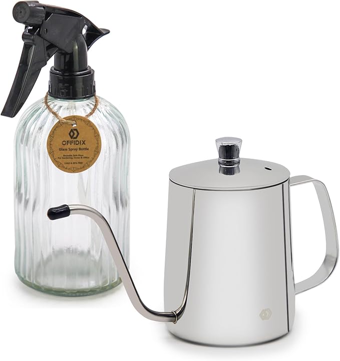OFFIDIX Watering Can for Indoor Plants,Long Spout Metal Stainless Steel 21 oz/600 ml Watering Can with 14 oz/400ml Glass Plant Mister Spray Bottle for House Plant Bonsai