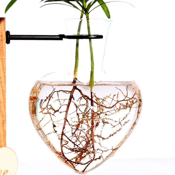 Kingbuy Hydroponic Glass Vase Vintage Desktop Plant Terrarium Planter Bulb Vase Water Planting Propagation Vase Planters Hydroponics Plants with Retro Wooden Stand Home Garden. (D(1 Heart Vase))