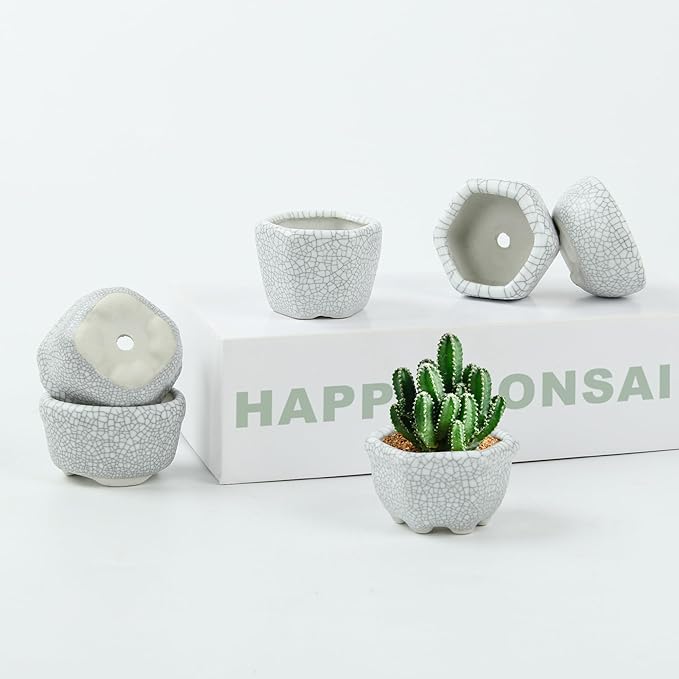 Bonsai Planter 1.8 inch (4.5cm) Mini Succulent Glazed Pots Set of 18 Gray White