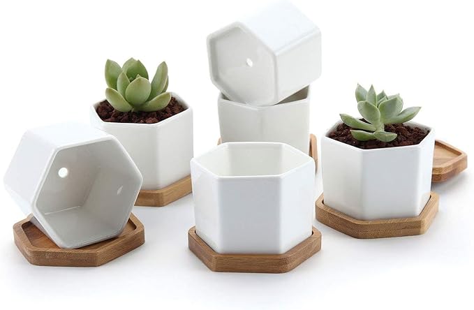 T4U Small White Succulent Planter Pots with Bamboo Tray Hexagon Set of 6, Geometric Ceramic Cactus Plant Holder, Gifts for Plant Lover Gardener Women, Home Office Table Desk Decoration
