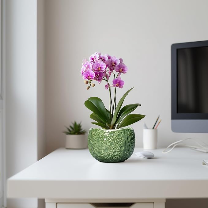 6 Inch Plant Pot - Orchid Pot with Drainage Hole, Ceramic Planter for Indoor Outdoor, Decorative Plant Pots, Modern Round Unique Flower Pots, Living Room Decor, Gifts for Women Men, Green