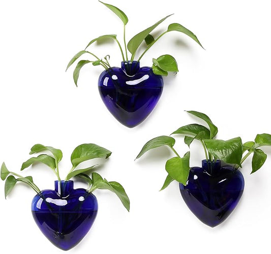 Wall Hanging Planter Propagation Station for Indoor Plants Glass Vase Air Plant Holder for Bathroom Living Room