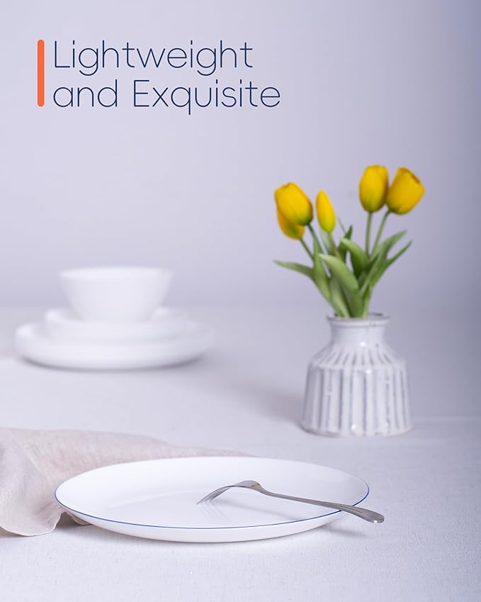 10.5 inch Dinner Plate Set of 6, Lightweight Round Opal Glass Dinnerware Plates, Dishwasher and Microwave Safe, Hand Painted Navy Blue Rim