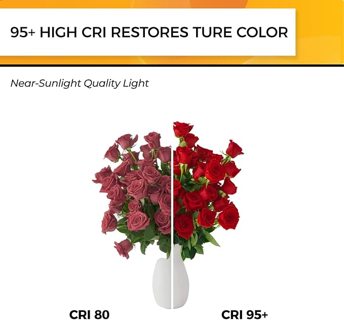 Hizashi Edison Bulbs Dimmable, 40 Watt, ST58/ST19 Vintage Light Bulbs, E26 LED Bulb 2700K Warm White, UL Listed, 4W 450lm 95+CRI E26 Base, Clear Glass, Pack of 24