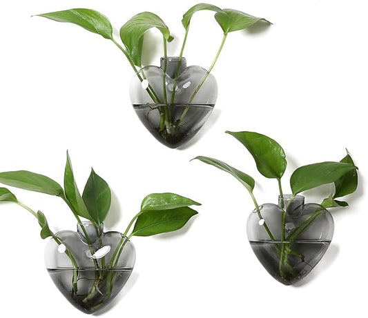 Wall Hanging Planter Propagation Station for Indoor Plants Glass Vase Air Plant Holder for Bathroom Living Room