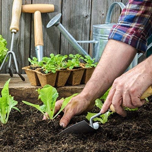 Daniel's Plants 2" Naked Pots Seedling Trays | Natural Plantable Seed Starter Trays | OMRI-Listed Biodegradable | Earth Friendly Contains No Peat | 100 Cell 2 Inch Tray (100, 2 Inch Tray)