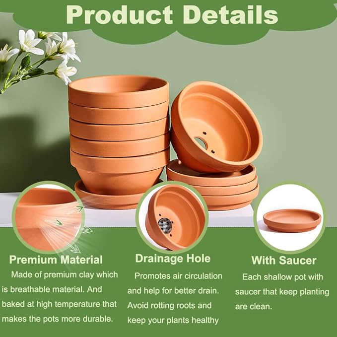 5 Inch Shallow Terracotta Pot for Succulent - 6 Pcs Small Shallow Plant Pots with Drainage Hole and Saucer, Clay Plant Pottery Pots for Cactus Succulent and Other Indoor Outdoor Plants