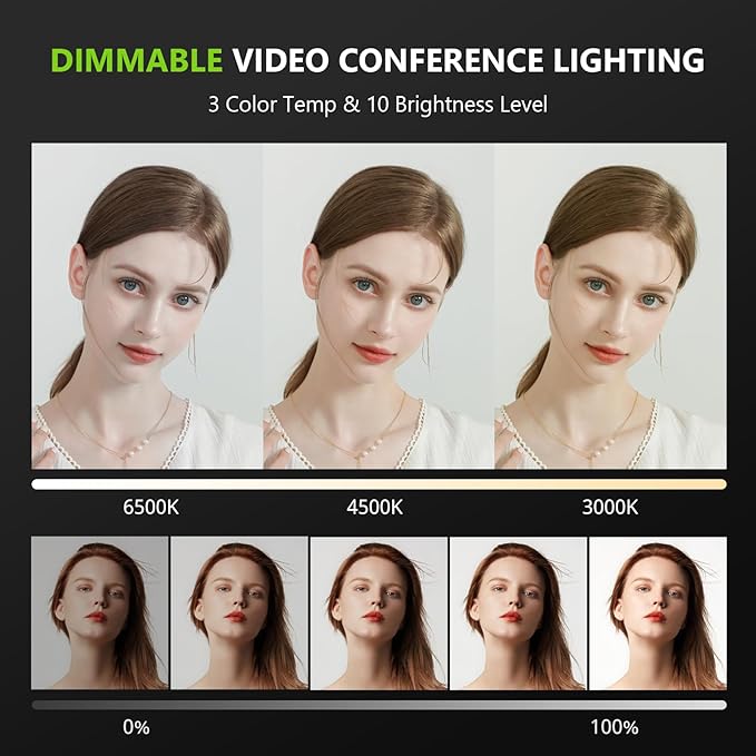 Aureday 10.5” Dimmable Desktop Ring Light with Stand and Phone Holder, 24W Full-Screen LED Ring Light for Desk, Video Conference Lighting for Laptop, Zoom Lighting for Computer, Live Stream, TikTok