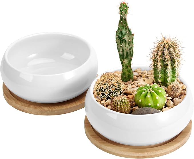 ZOUTOG 2 Pack Succulent Pots, 6 inch Ceramic Planters for Indoor Plants with Bamboo Tray, Pots with Drainage, Seeds＆ Plants Not Included