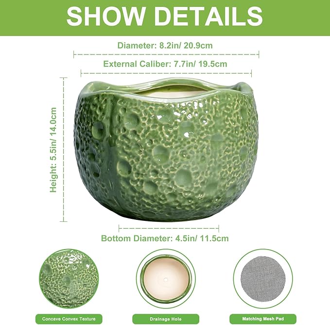 8 Inch Plant Pot - Ceramic Pots for Plants with Drainage Hole, Round Decorative Plant Pots for Indoor Outdoor, Modern Unique Flower Pot, Office Decor, Garden Gifts, Green