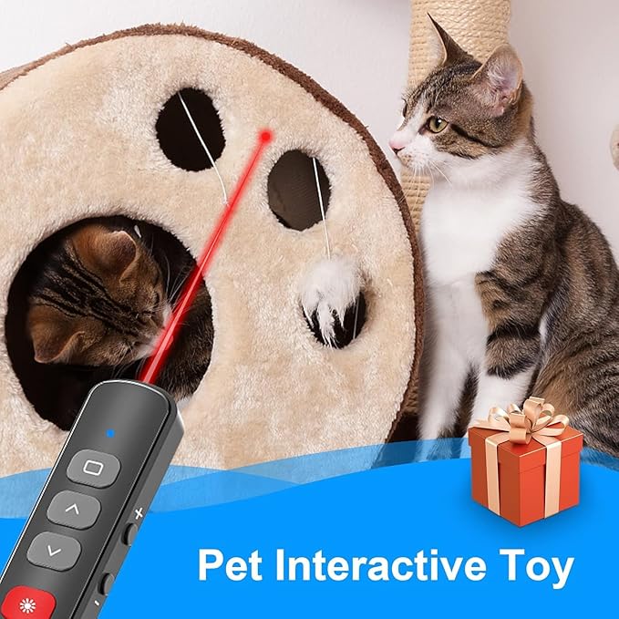 Wireless Presentation Clicker - Rechargeable Presenter Remote 2 in 1 USB C/A PowerPoint Clicker with Red Light Pointer Slide Advancer for Computer Laptop Mac