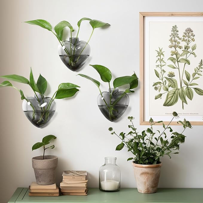 Wall Hanging Planter Propagation Station for Indoor Plants Glass Vase Air Plant Holder for Bathroom Living Room