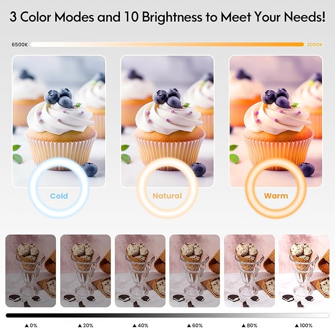 LUXSURE Ring Light Tripod for iPhone,Ring Light with Stand and Phone Holder,LED Overhead Camera Mount with Casters,Phone Tripod with Light and Remote for Video Recording/Live Stream/Cooking