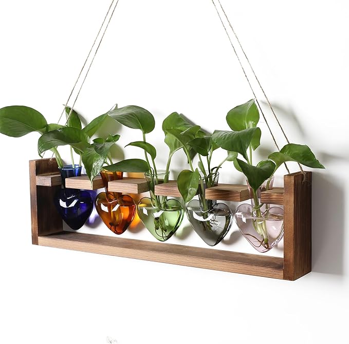 Plant Terrarium Hanging Propagation Stations Gift for Women Air Plants Holder with Wooden Stand Heart Glass