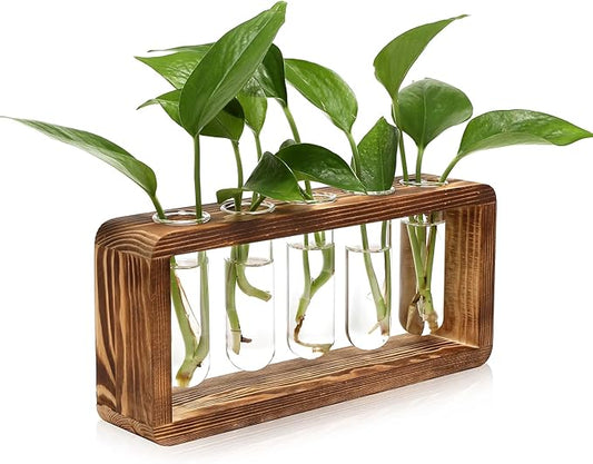 Glass Plant Propagation Station with 5 Test Tubes Planter Vase with Wooden Stand Birthday Gifts for Women Mom Plant Lovers