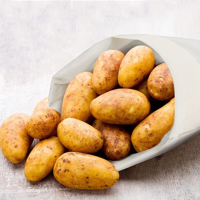 Tatuo 50 Pcs 10 x 12 Inches Muslin Cotton Drawstring Bags Canvas Linen Sachet Bag Reusable Empty Gift Pouch for Party Home Supplies