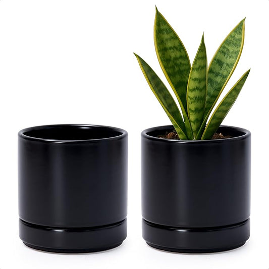 D'vine Dev Set of 2 Plants Pot, 4.7 Inch Ceramic Planter Pot for Plants with Drainage Hole and Saucer, Black, 94-V-B-2