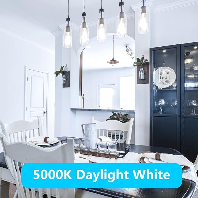 DAYBETTER Vintage LED Edison Bulbs, E26 Led Bulb 60W Equivalent, Dimmable Led Light Bulbs, High Brightness 6W 800 LM Daylight White 5000K, ST58 Antique LED Filament Bulbs, Clear Glass, 6 Pack