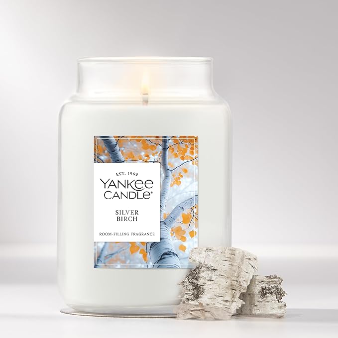 Yankee Candle Large Jar Scented Candle with up to 150 Hour Burn Time, Premium Plant Wax Blend for Consistent Burn, 22 oz Jar Candle with Room Filling Fragrance, Silver Birch