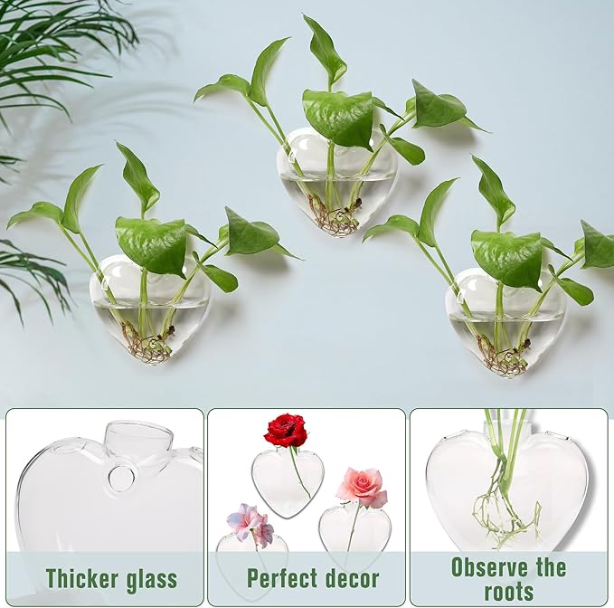 Wall Hanging Planter Propagation Station for Indoor Plants Glass Vase Air Plant Holder for Bathroom Living Room