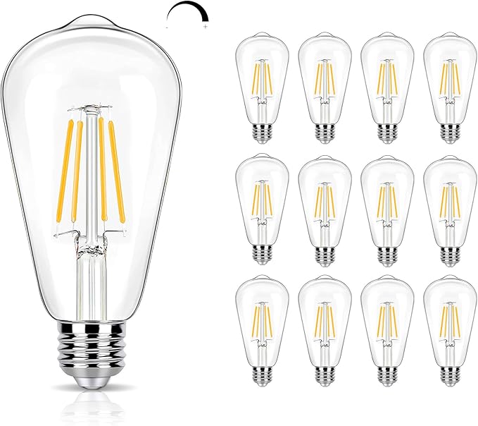 12 Pack Dimmable LED Edison Bulbs 40W Equivalent,4 Watt Filament Bulb,3000K Warm White ST19 Light Bulb,450LM E26 Vintage for Ceiling Fixtures