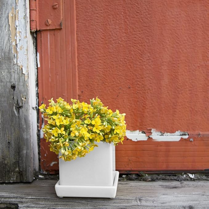 CHIVE - 3 Piece Set White Square Succulent Cactus Planter Pot, 3 Inch Ceramic Flower Plant Container, Drainage Hole/Saucer, Mini Pot Indoor/Outdoor Garden