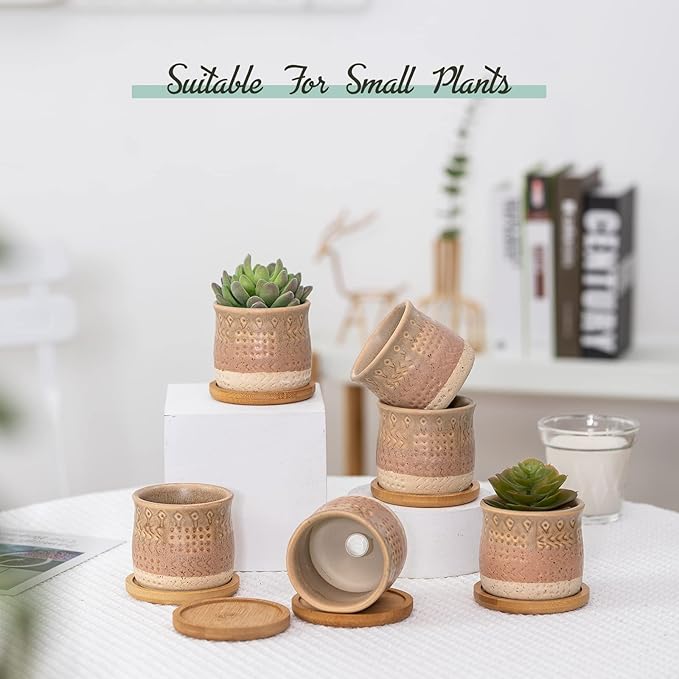 TAMAYKIM 2.75 Inch Mini Ceramic Succulent Plant Pots, Retro Tiny Planter Pots with Saucer & Drainage Hole, for Cactus, Small Plants, Set of 6, Brown Beige
