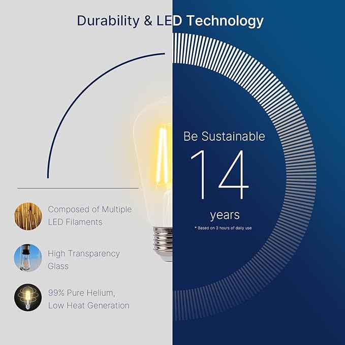 FLSNT 7W LED Edison Bulbs, 60W Equivalent, 90+ High CRI, 2700K Soft White, ST19 Vintage LED Light Bulbs, 800LM, E26 Base, Dimmable, 6 Pack