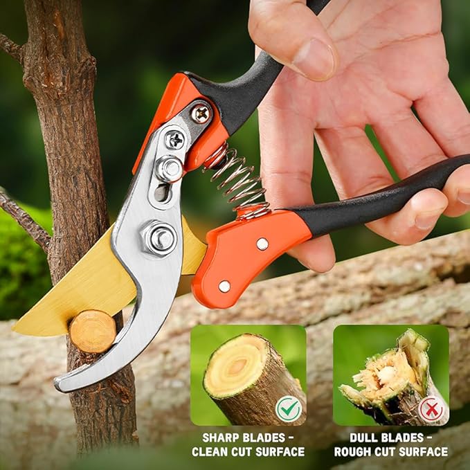 Garden Pruners, Heavy Duty Garden Clippers,Pruning Shears with Adjustable Thumb Lock,Hand Gardening Tools Pruners,Stainless Steel Sharp Gardening Scissors (MJ003)