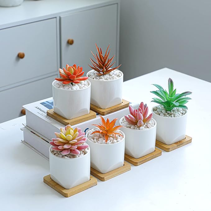 ARTKETTY Succulent Pots - 3 Inch Small Succulent Planter Pot with Drainage Trays Set of 6, Ceramic Planters for Indoor Plants Cactus Flower Plant for Home Office
