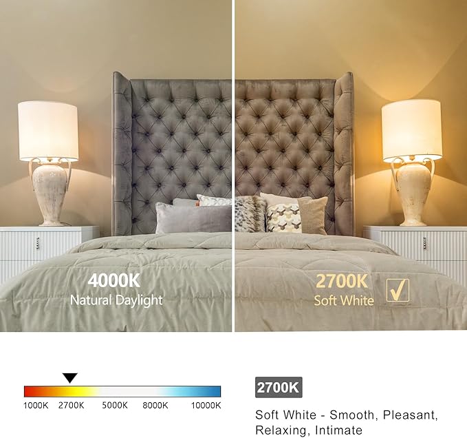 8 PCS Dimmable Vintage LED Edison Bulbs, 6W Equivalent 60 Watt, Warm White 2700K, Antique Flexible Spiral LED Filament Light Bulb, ST58 (ST19), 600 Lumens, E26 Base, Clear Plastic