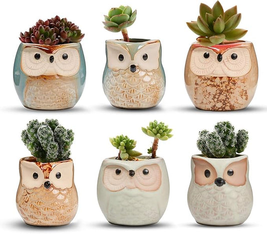 T4U 2.5 Inch Owl Ceramic Succulent Planter Pots with Drainage Hole Set of 6, Mini Cute Flower Pots Tiny Plant Holder Container Best for Home Office Garden Decoration Owl Gift Ideas