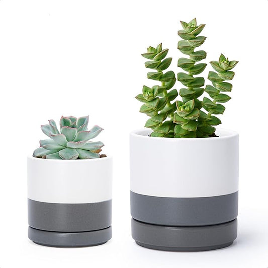 D'vine Dev 3.5 Inch & 4.7 Inch Ceramic Planter Pots for Plants with Drainage Hole and Saucer, X-Small Plant Pots Set, White/Speckled Grey, 94-G-XS-6