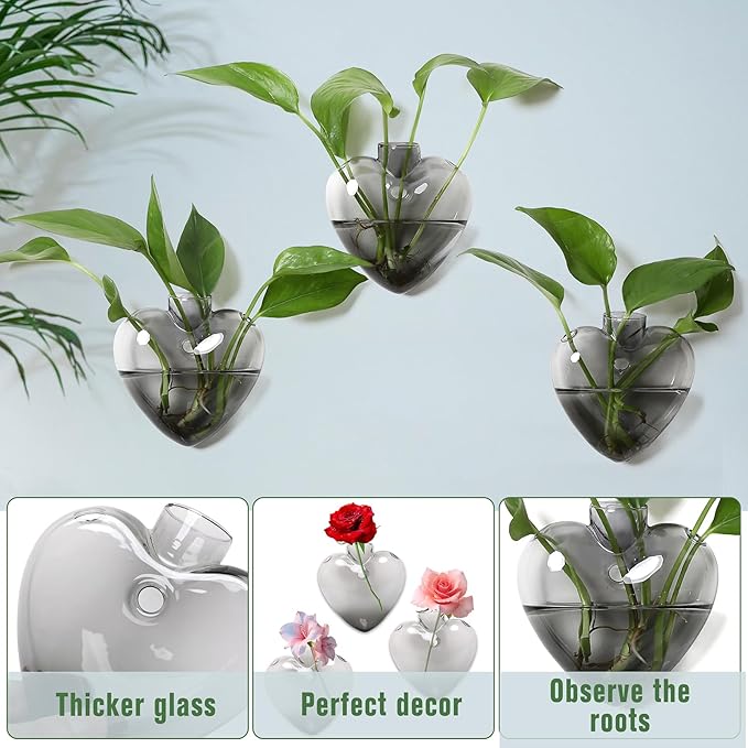 Wall Hanging Planter Propagation Station for Indoor Plants Glass Vase Air Plant Holder for Bathroom Living Room