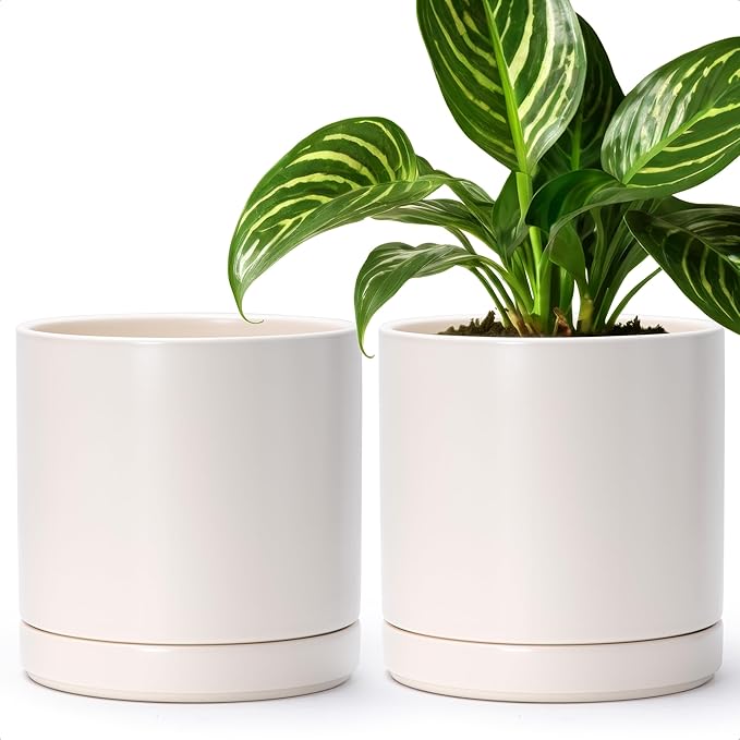 D'vine Dev Set of 2 Plants Pots, 8.2 Inch Ceramic Planter Pot for Plants with Drainage Hole and Saucer, Oatmeal, 94-V-D-8