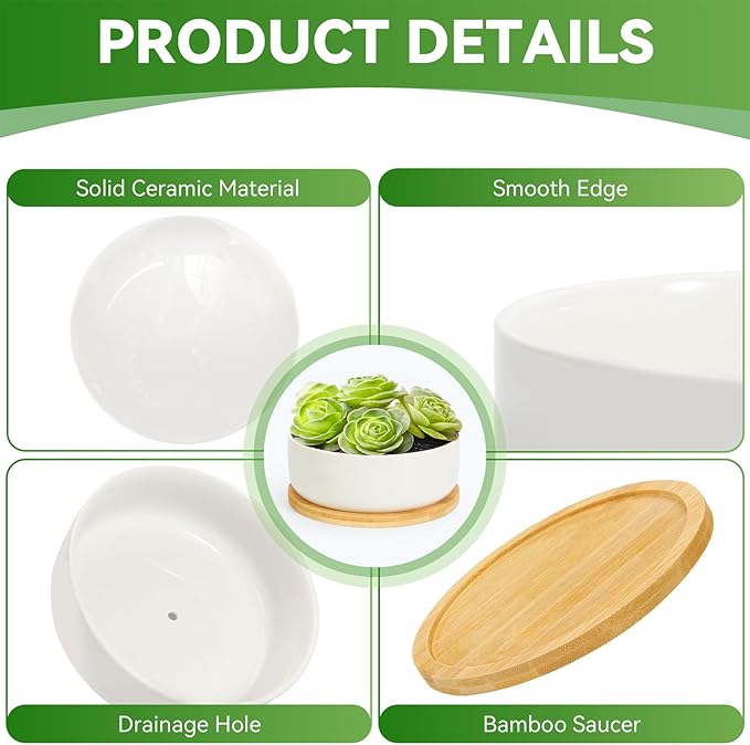ZOUTOG Plant Pot 6 Inch,Ceramic Succulent Pots for Flower with Drainage and Tray,Succulent Planters for Indoor Plants White Round with Home,Office,Pack of 2